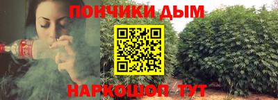 гидропоника Гусев