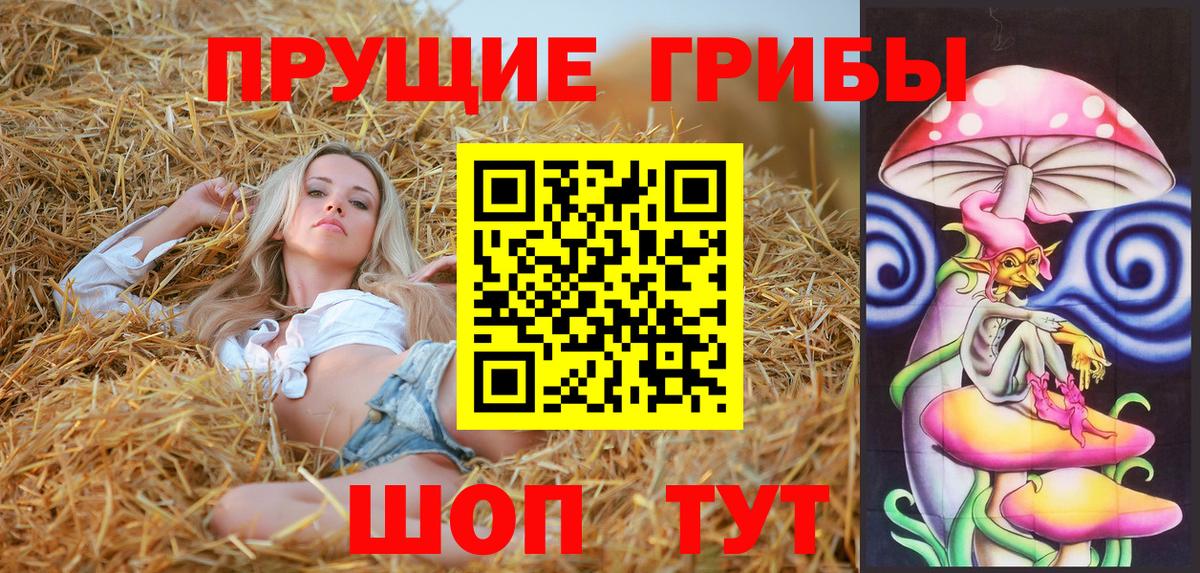 Новоалтайск  Псилоцибиновые грибы прущие грибы  Вход с VPN  Псилоцибиновые грибы Cubensis 